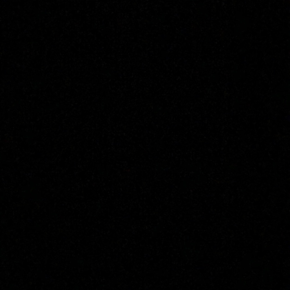 Meet your Posher, Payton